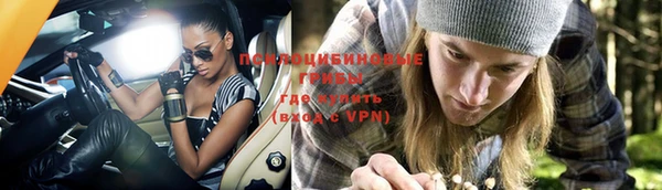 шишки Красноперекопск